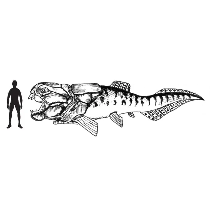 Schleich Dinosaurier Dunkleosteus 14575 
