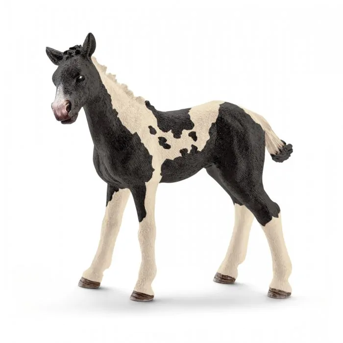 Schleich Farm World Pinto Fohlen 13803