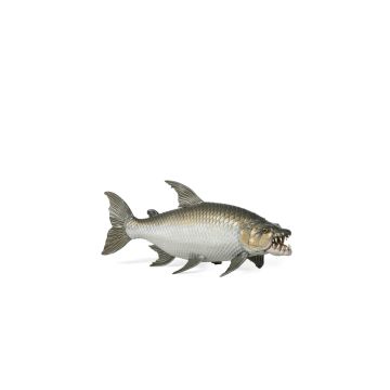 Papo Wild Life Goliath-Tigerfisch 56065