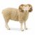 Schleich Farm World Widder 13937
