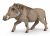 Papo Wild Life Warzenschwein 50180
