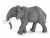 Papo Wild Life Afrikaanse Olifant 50192