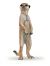 Papo Wild Life Stehendes Erdmännchen 50206