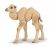 Papo Wild Life Kamelkalb 50221