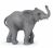 Papo Wild Life Elefantenkalb 50225