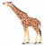 Papo Wild Life Giraffe mit erhobenem Kopf 50236