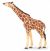 Papo Wild Life Giraffe mit erhobenem Kopf 50236