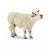 Papo Farm Life Muhende Charolais Kuh  51158