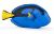 Papo Wild Life Doktorfisch 56024
