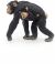 Papo Wild Life Schimpanse mit Baby 50194