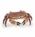 Papo Wild Life Krabbe 56047 