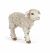 Papo Farm Life Merino Lamm 51176 