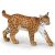 Papo Wild Life Luchs 50241