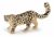 Papo Wild Life Schneeleopard 50160 