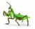 Papo Wild Life Gottesanbeterin 50244