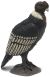 Papo Wilf Life Condor 50293