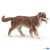 Papo Farm Life Hund Australian Shepherd 54038
