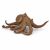 Papo Wild Life Krake 56013