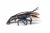 Papo Hummer 56052
