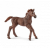 Schleich Horse Club Englisch Vollblut Fohlen 13857 