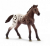 Schleich Horse Club Appaloosa Fohlen 13862 