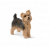 Schleich Farm World Yorkshire Terrier 13876 