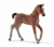 Schleich Horse Club Pferd Hannoveraner Fohlen 13818 