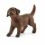 Schleich Farm World Labrador Retriever Welpe 13835