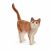 Schleich Farm World Katze 13836 