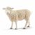 Schleich Farm World Schaf 13882