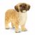 Schleich Farm World Shih Tzu Malteser 13931