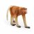 Schleich Wild Life Nasenaffe 14846 