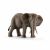 Schleich Wild Life Afrikanische Elefantenkuh 14761 