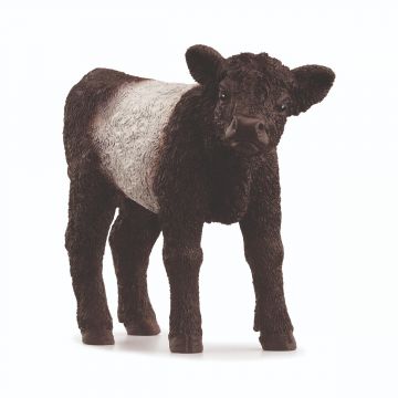Schleich Farm World Galloway Kalb 13969
