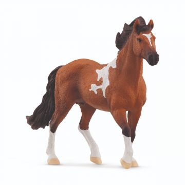 Schleich Horse Club Pferd Mangalarga Marchador Hengst 13978