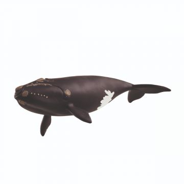 Schleich Wild Life Nordatlantischer Glattwal 14878