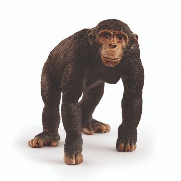 Schleich Wild Life Schimpanse 14883