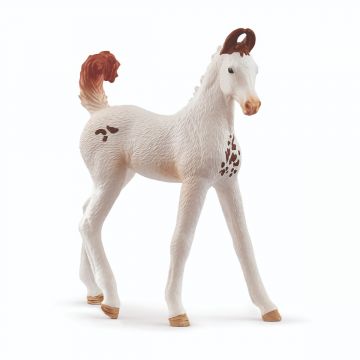 Schleich Horse Club Marwari Fohlen 14896