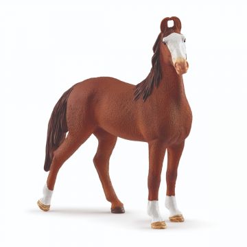 Schleich Horse Club Marwari Stute 14897
