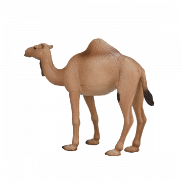 Mojo Wild Life Arabisches Kamel 387113