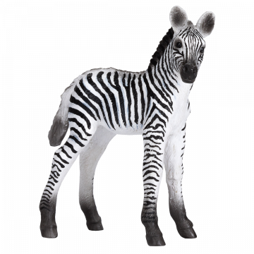 Mojo Wild Life Zebrafohlen 387394