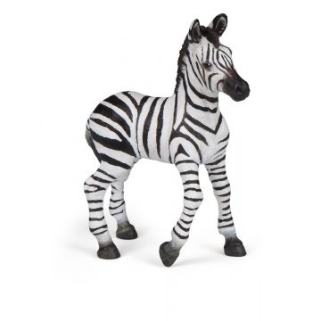 Papo Wild Life Zebra Fohlen 50123