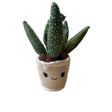 Take Me Home Pflanze Plüsch Aloe Vera 19-27cm 660543