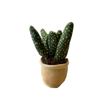 Take Me Home Pflanze Plüsch Aloe Vera 12-17cm 660572