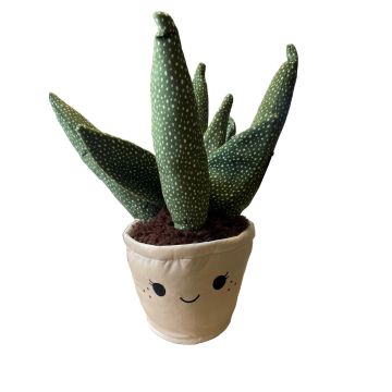 Take Me Home Pflanze Plüsch Aloe Vera 45cm 660601