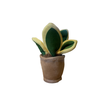 Take Me Home Pflanze Plüsch Sansevieria 12-17cm 660620