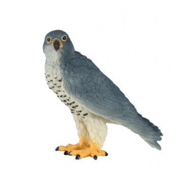 Mojo Wild Life Wanderfalke 381056