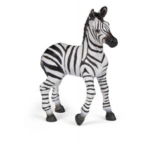 Papo Wild Life Zebra Fohlen 50123