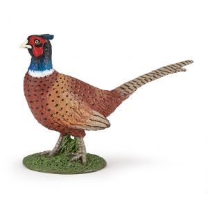 Papo Wild Life Faisan 50263