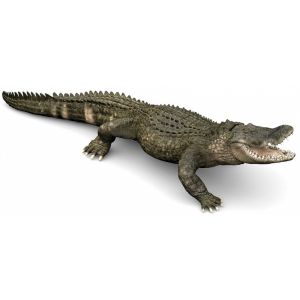 Papo Wild Life Alligator 50254